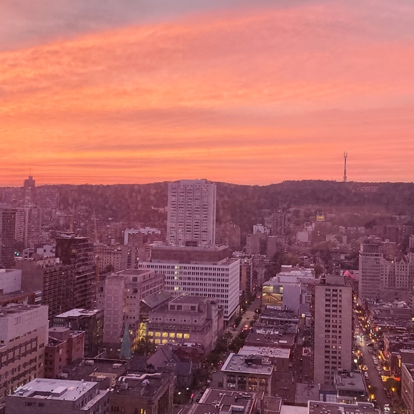 Meet your Posher, Fany - Picture 3 of 14